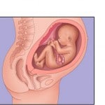 Chimie Naturelle - femme enceinte
