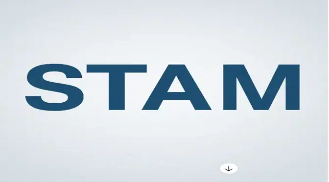 Chimie_Naturelle-logo méthode STAM : Sytème transversal d'actions des minéraux - Philippe Perrot-Minnot et Marc Dauphin-Roy